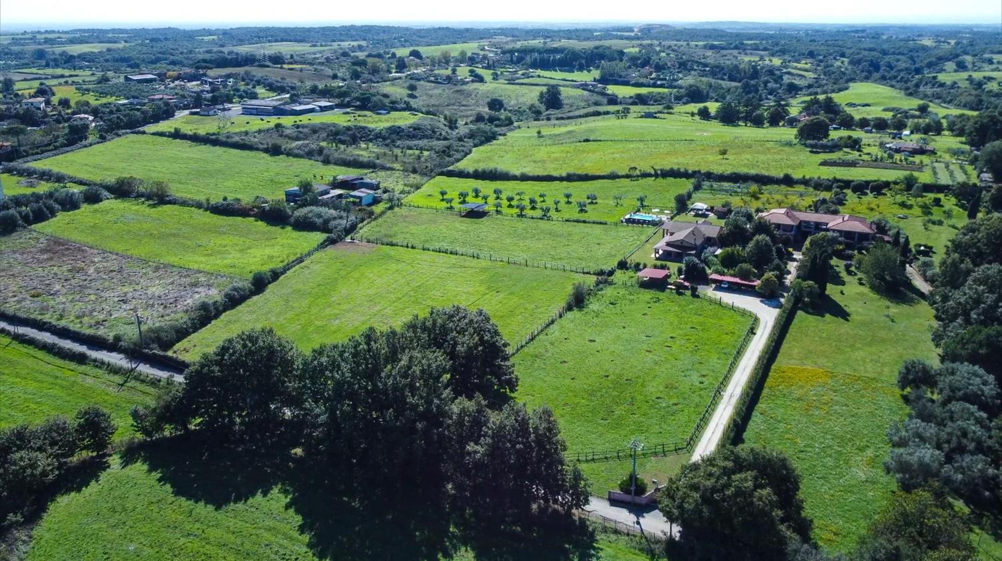 Agriturismo L.B.Stud Bracciano  Exterior photo